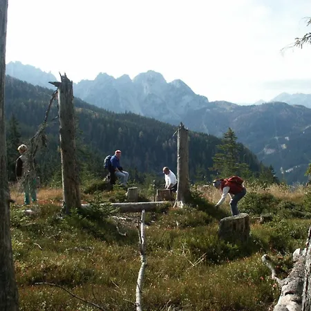 Chalet Alpenchalet *