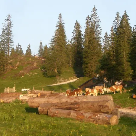 Σαλέ Alpenchalet *