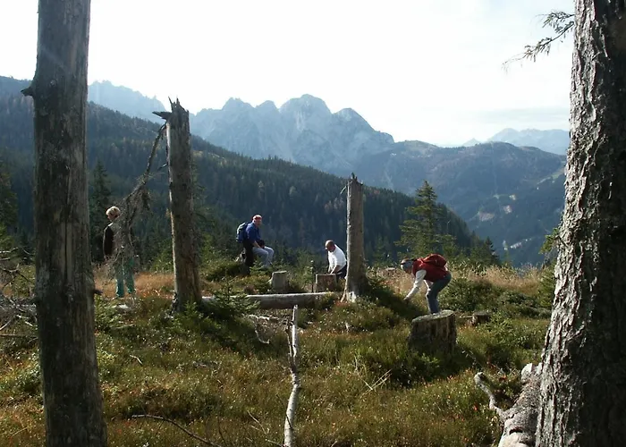 Σαλέ Alpenchalet *