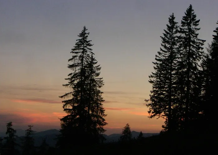 Alpenchalet Domek alpejski