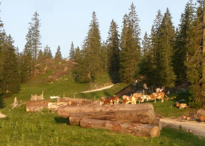 Domek alpejski Alpenchalet *